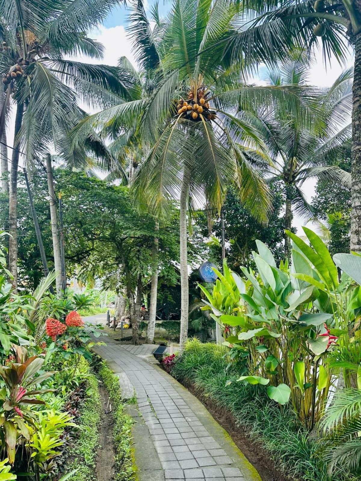 Villa Olirine By Balisuperhost Убуд Экстерьер фото
