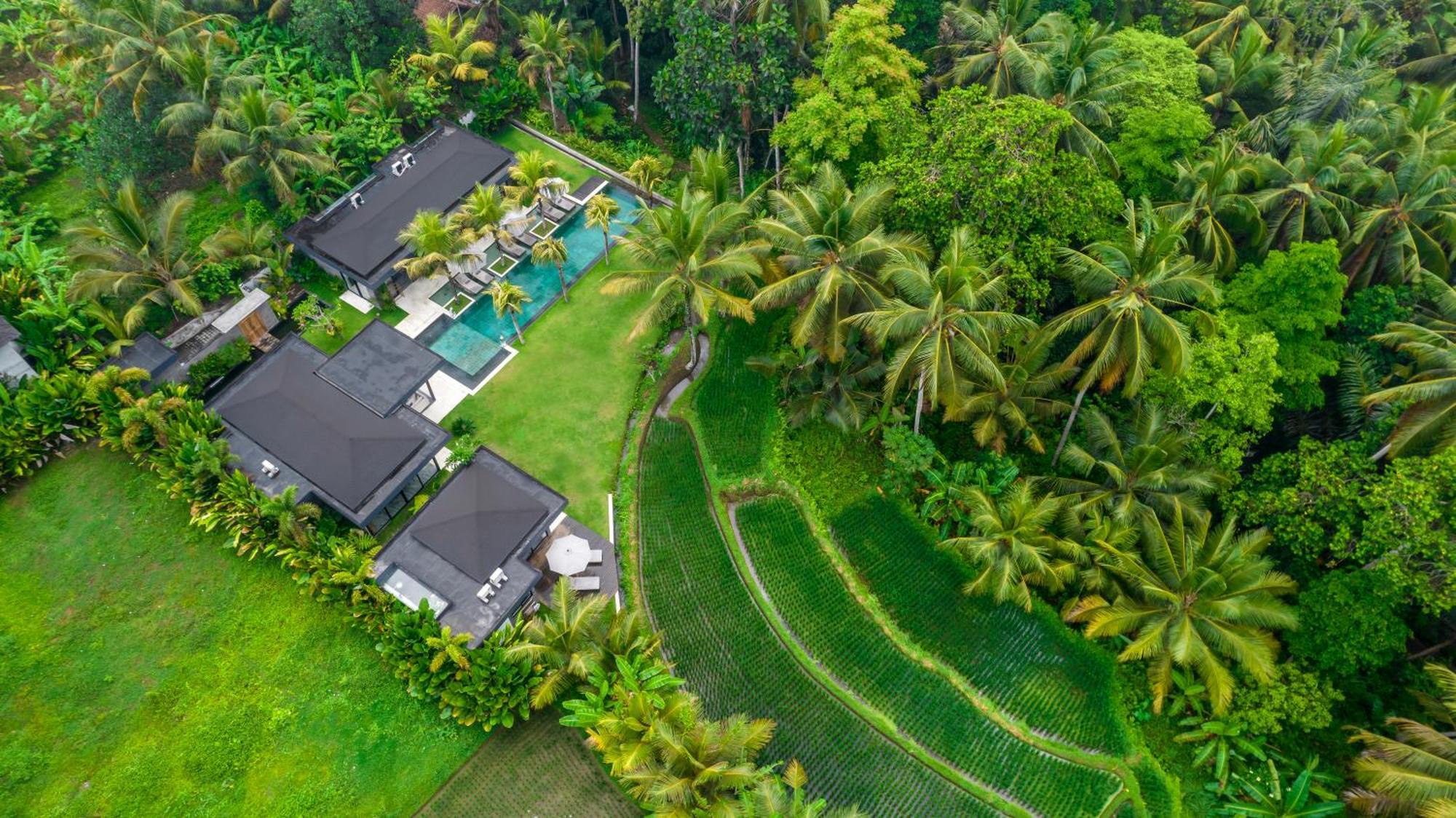 Villa Olirine By Balisuperhost Убуд Экстерьер фото